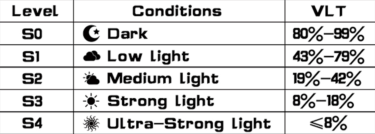 goggle VLT conditions form