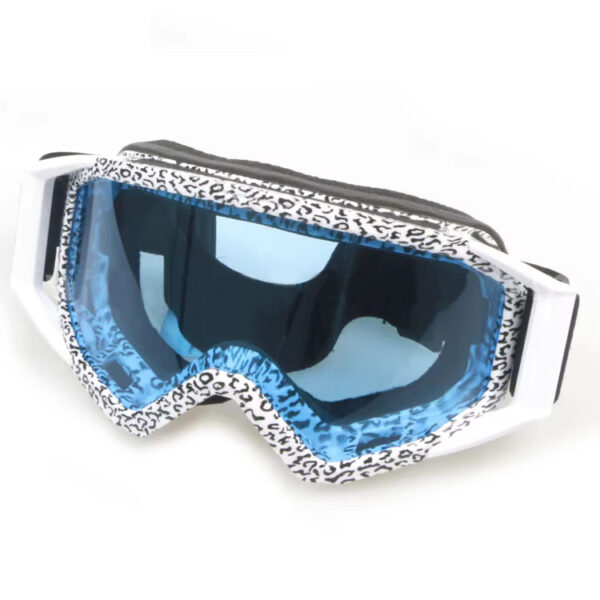 Best cheap dirt bike goggles anti-fog coating custom