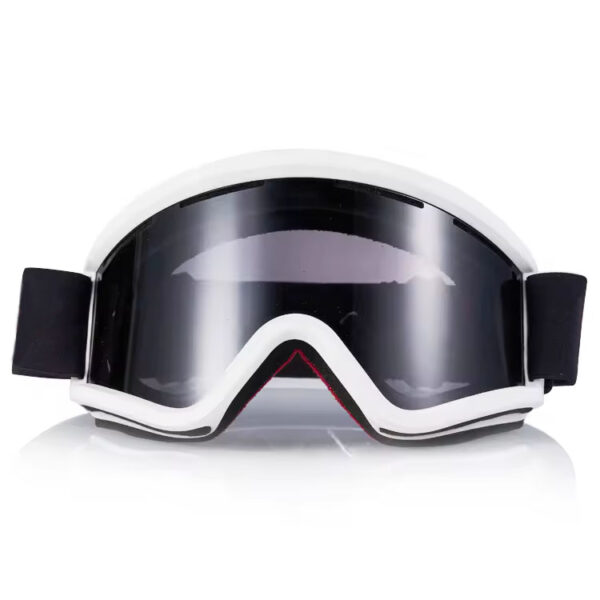 Most popular ski goggles anti fog UV400 customizable logo